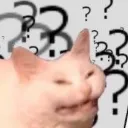 catwat catwat