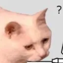catwut