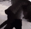 fight2