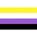 NW_Nonbinaryflag