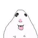 yay