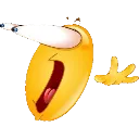 holyguacamole