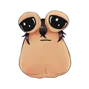 pousangv089y8rprwyncc1removebgpr