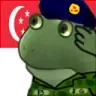 worrysingaporesalute