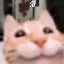 3_