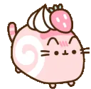 pusheen_swissroll
