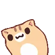 nekowoahwoahwoah