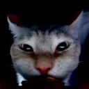 enokistare
