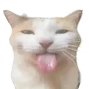 bleh