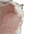 catjam