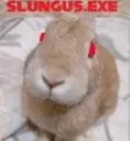 slungusexe