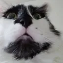 HUUH