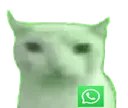 28944whatsupbruhcat