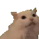 meowargh