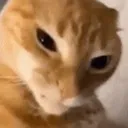 mchickennuggets