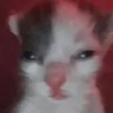 144b772c3ca3b2211c76b7efdc81a364