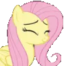 03fluttershy