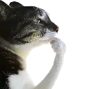 car_lemmethink