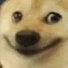 hehedog