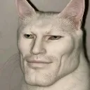 chad