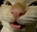 GUH
