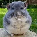 bruh