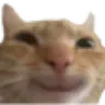 hehehecat