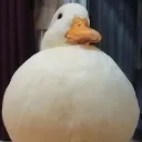 big_fat_duck