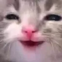 hihihi
