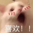 48609likecat