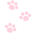 09_paw_pink2