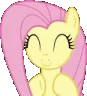 pi_flutterclap