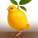 lird