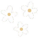 :flowers_white: