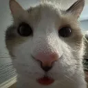 panko_buh