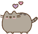 pusheenLove