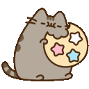pusheenCookie
