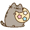 pusheenCookie
