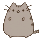 pusheenPls