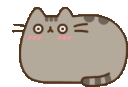 PusheenShock