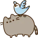 pusheenBird