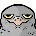 done_pigeon