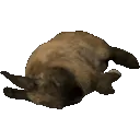 CinnamonSleep