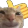 paw_some