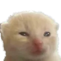 unglorp unglorp