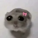 cry