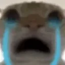 Cryingcat