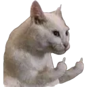 whatthefuck