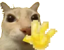 emoji_51