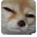 sus